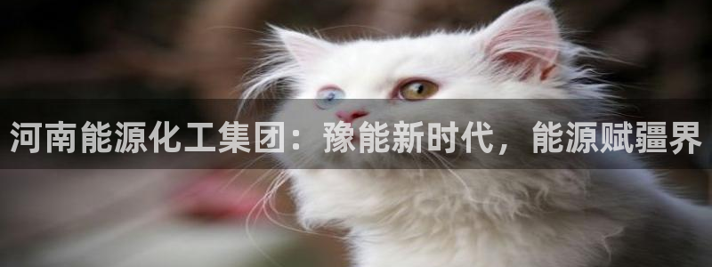 球盟会头号玩家是谁