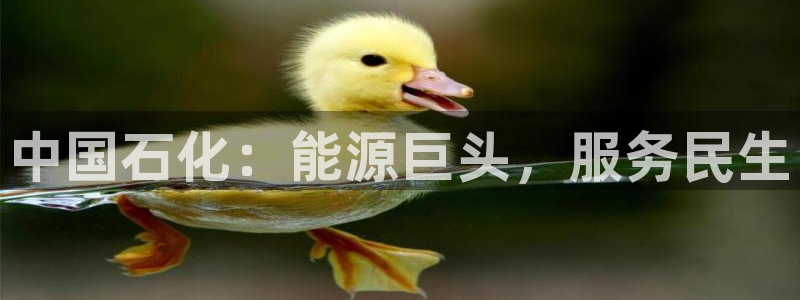 球盟会类似的网站