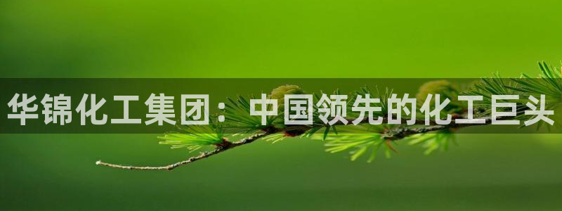 球盟会可以提现么是真的吗