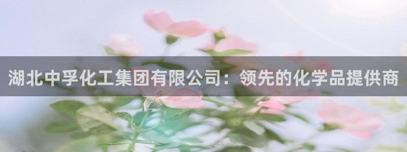球盟会登录平台：湖北中孚化工集团有限公司：领先的化学品提供商