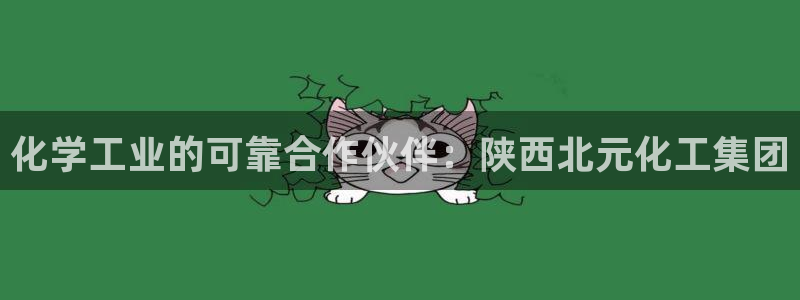 球盟会登陆入口：化学工业的可靠合作伙伴：陕西北元化工集团