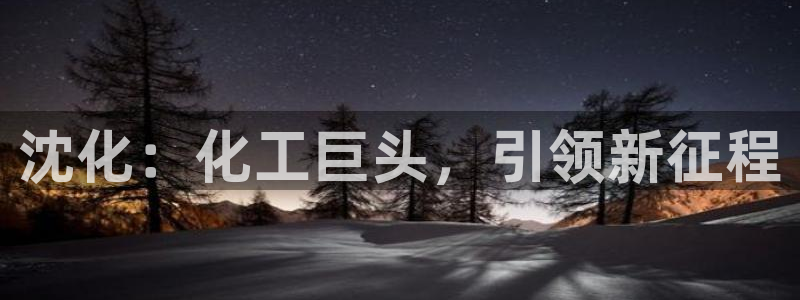 球盟会黑嘛：沈化：化工巨头，引领新征程
