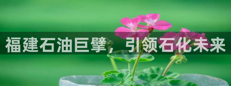 千亿球盟会乐玩：福建石油巨擘，引领石化未来