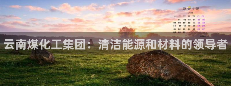 球盟会在线登录官网：云南煤化工集团：清洁能源和材料的领导者