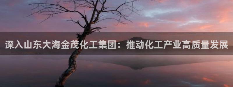 球盟会最新活动