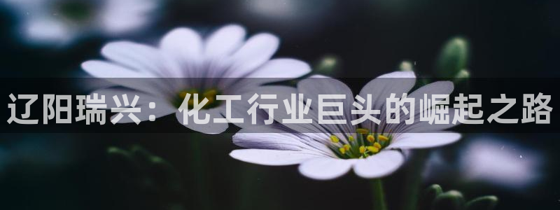 球盟会进不去球员吗