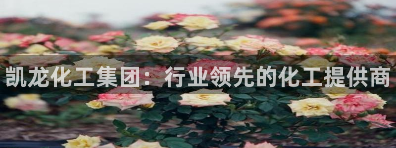 球盟会qmh登录地址：凯龙化工集团：行业领先的化工提供商