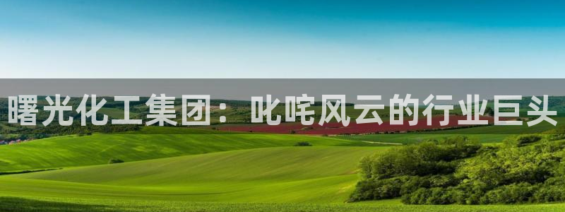 球盟会有限公司怎么样