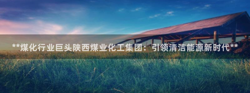 球盟会和中欧合作吗：**煤化行业巨头陕西煤业化工集团：引领清