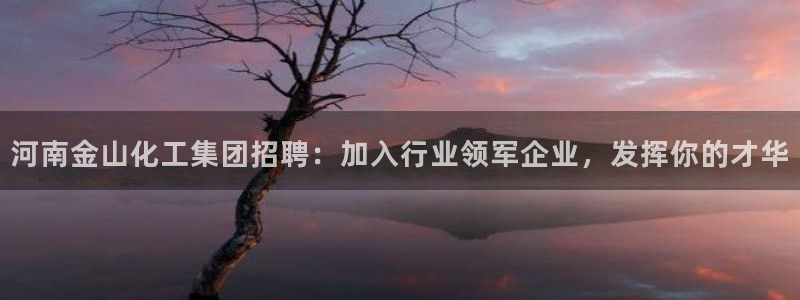 球盟会进不去吗