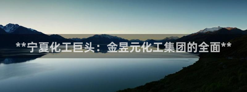 球盟会黑款吗知乎：**宁夏化工巨头：金昱元化工集团的全面**