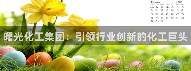 球盟会在线官网：曙光化工集团：引领行业创新的化工巨头