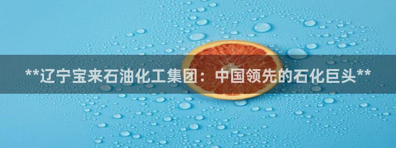 球盟会登录网址：**辽宁宝来石油化工集团：中国领先的石化巨头