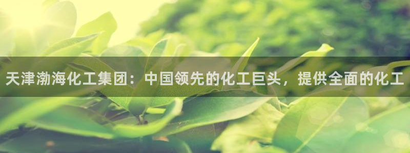 球盟会里面有打牌的嘛：天津渤海化工集团：中国领先的化工巨头，
