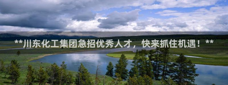 球盟会黑钱