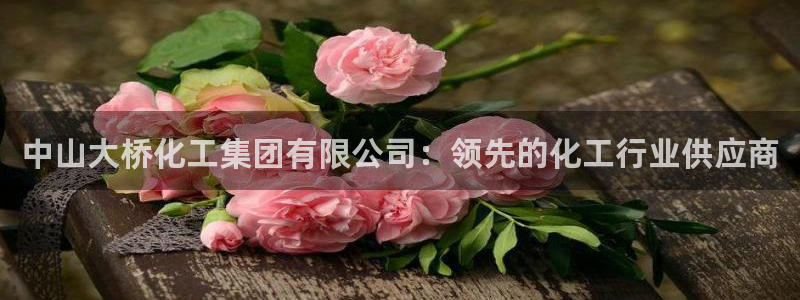 球盟会封禁