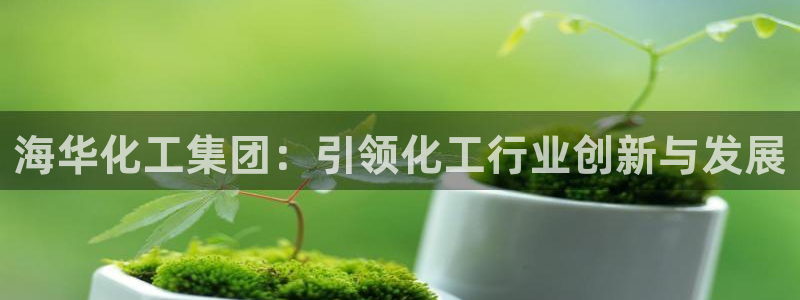 球盟会里面有打牌的嘛知乎