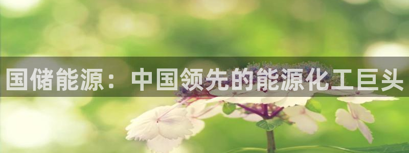 球盟会黑款吗知乎