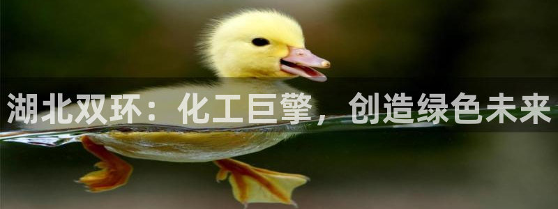 球盟会论坛