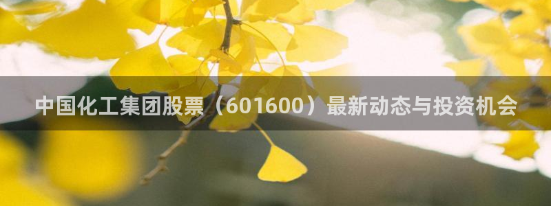 球盟会能退钱吗是真的吗