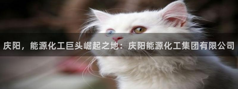 球盟会黑平台