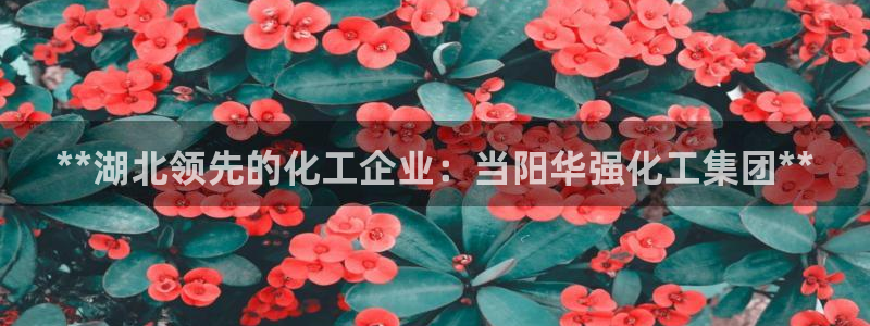球盟会黑款吗