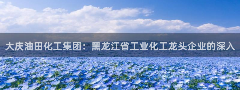 球盟会黑台