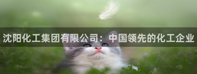球盟会优惠领取网站