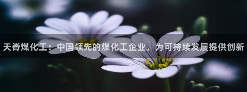 球盟会网页登录入口