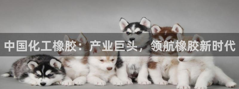 球盟会类似的网站