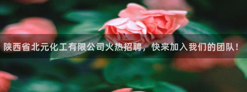 球盟会电子游戏平台