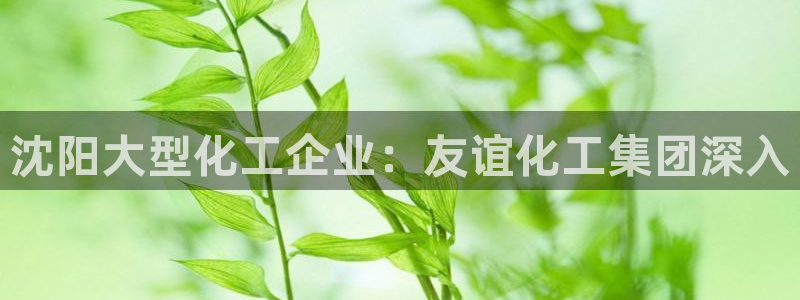 球盟会进不去球员吗