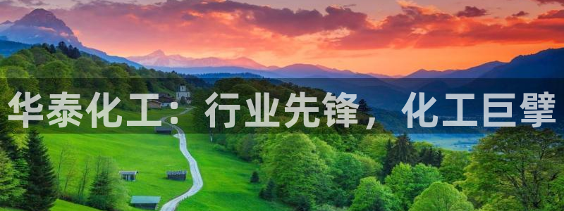 球盟会官方最新入口
