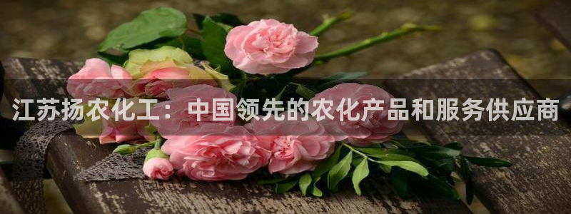球盟会黑台