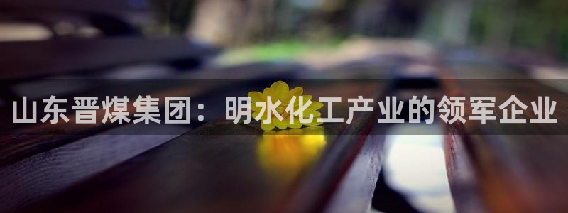 球盟会进不去