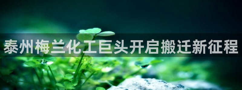 球盟会和中欧合作吗