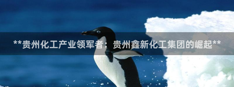 球盟会电子