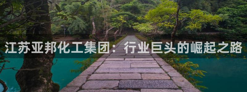 球盟会进不去