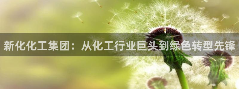 球盟会进不去球员吗