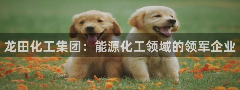 球盟会在线官网