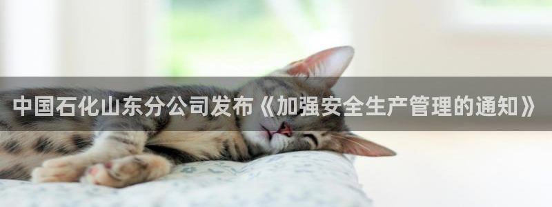 球盟会在线官网