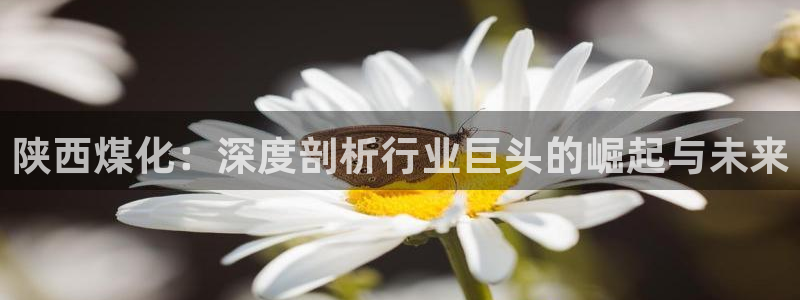 球盟会qmh