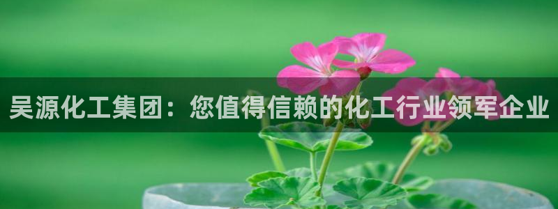 球盟会官方网站app