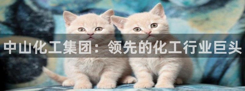 球盟会里面有打牌的嘛知乎