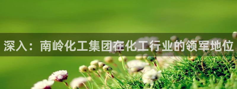 球盟会有没有黑单的球员