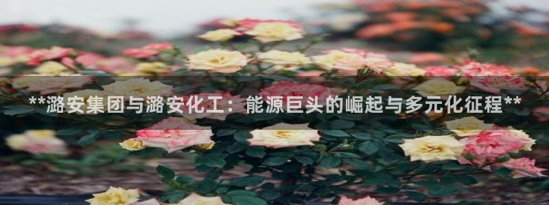 球盟会黑
