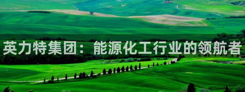 球盟会游戏