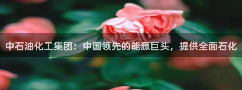 球盟会进不去：中石油化工集团：中国领先的能源巨头，提供全面石