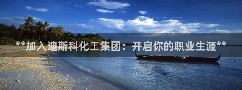 球盟会体育平台：**加入迪斯科化工集团：开启你的职业生涯**