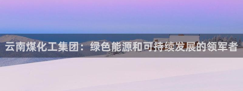 球盟会qmh网页版登录：云南煤化工集团：绿色能源和可持续发展